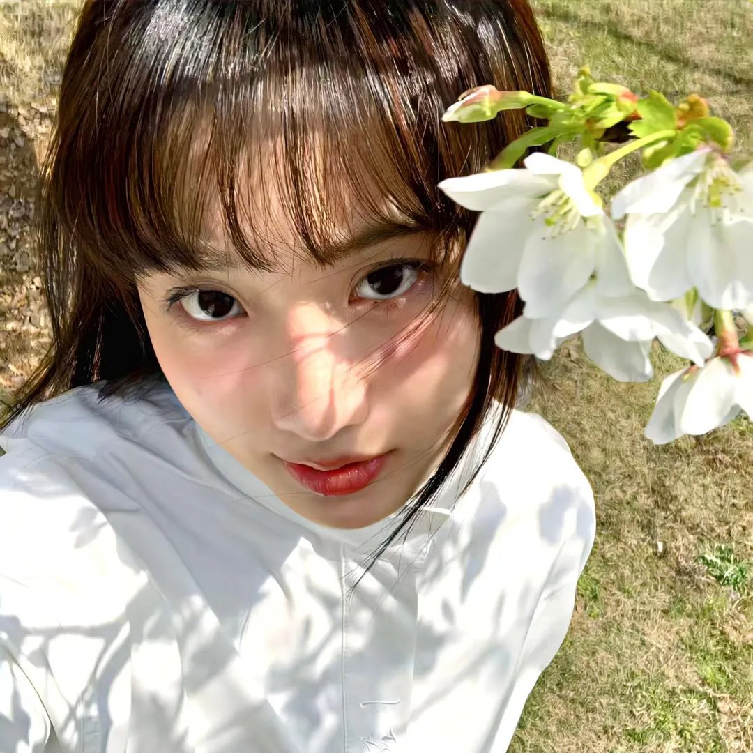 血伞凶灵